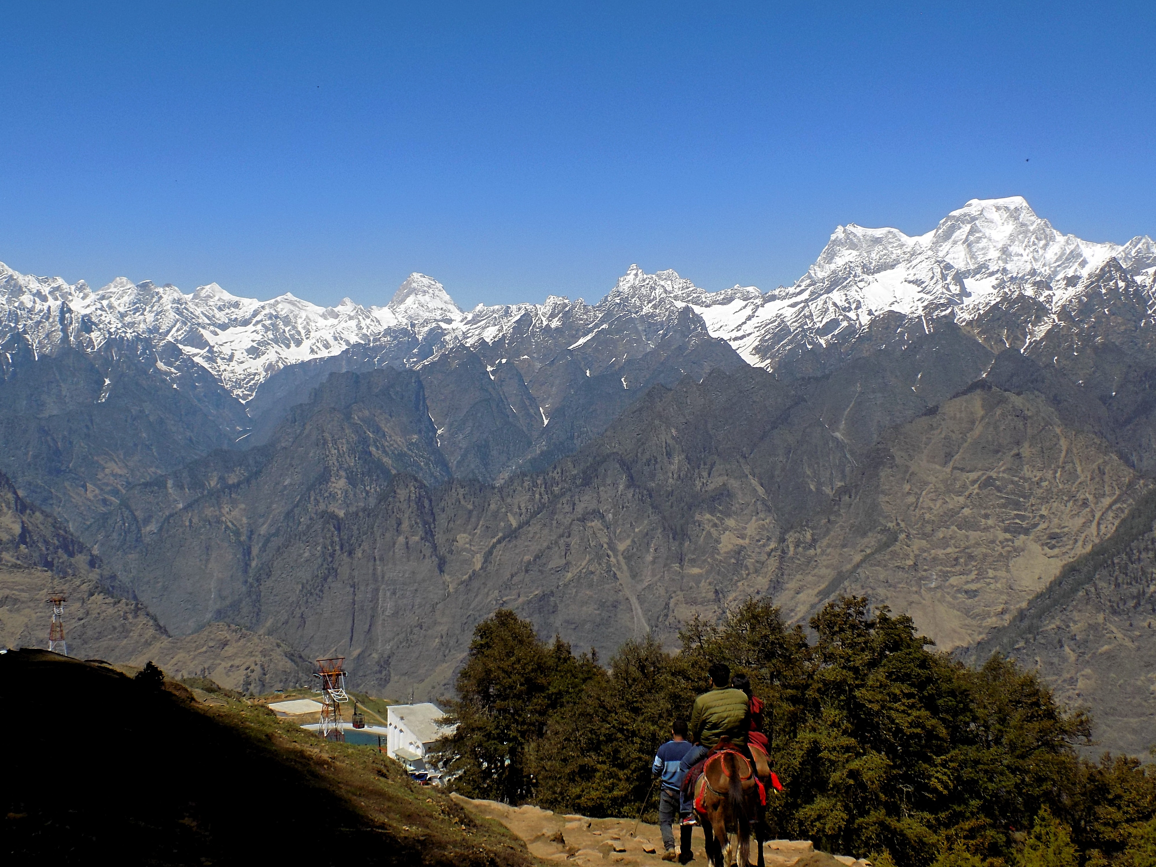 Auli