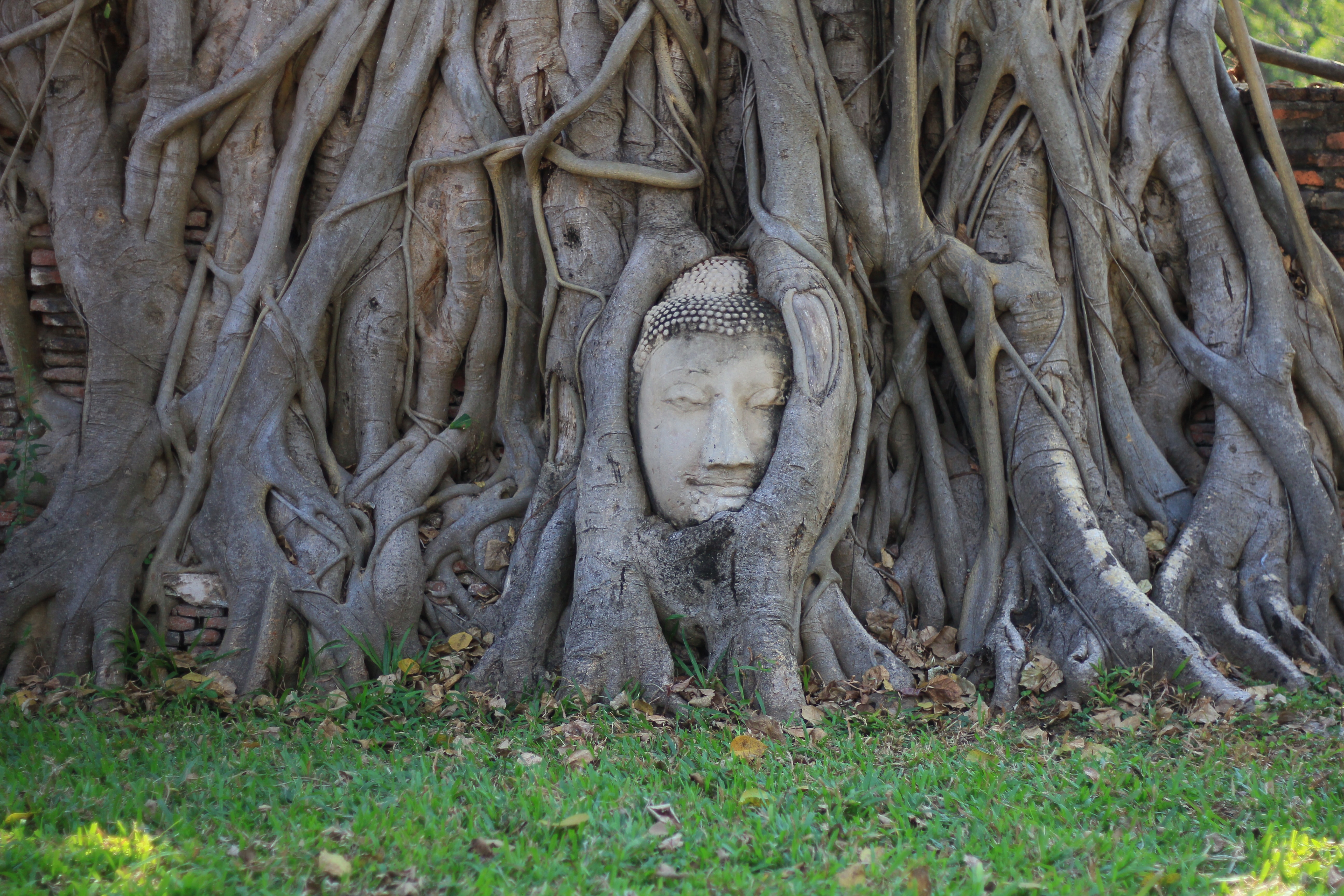 Ayutthaya