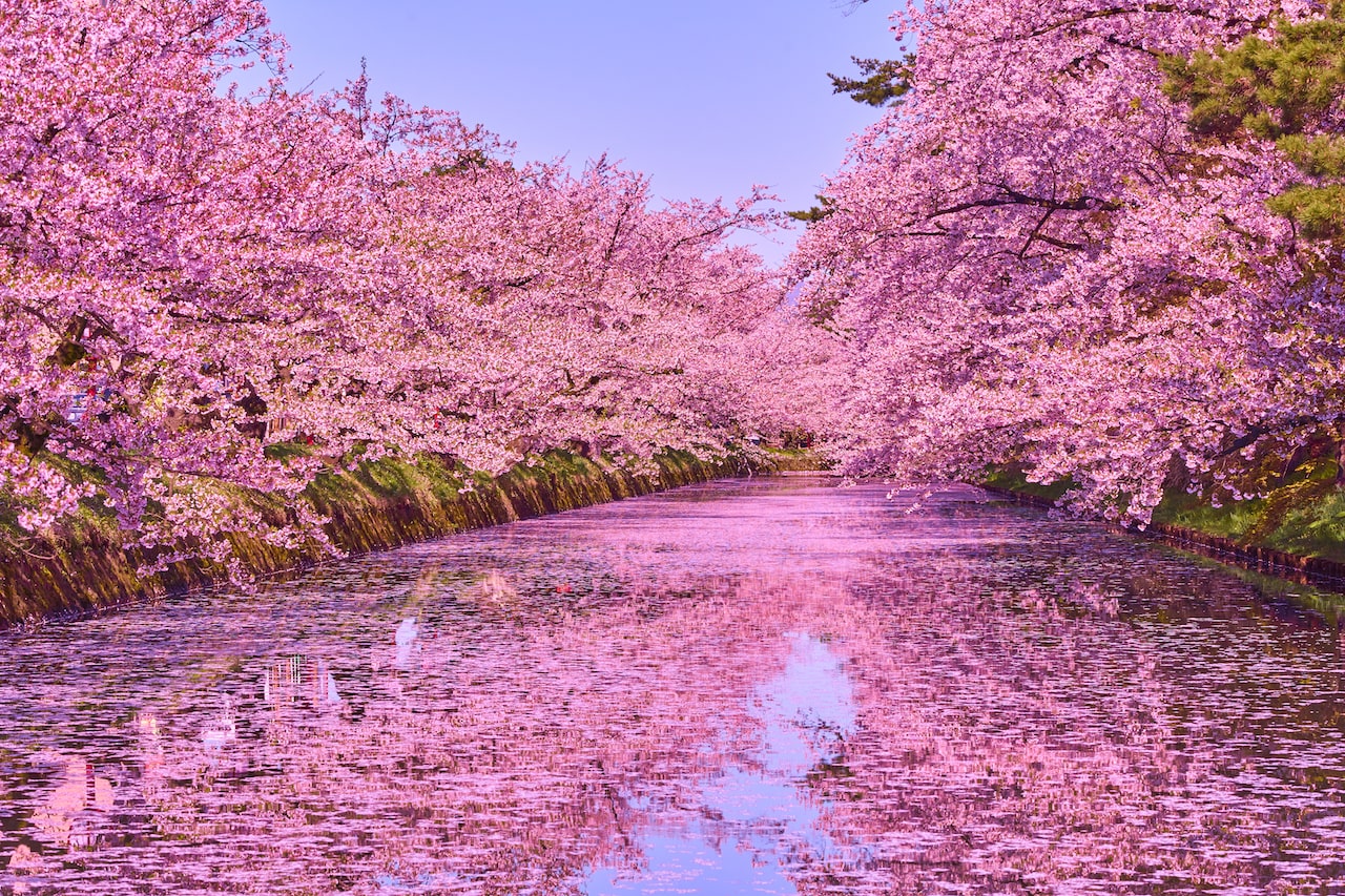 Aomori