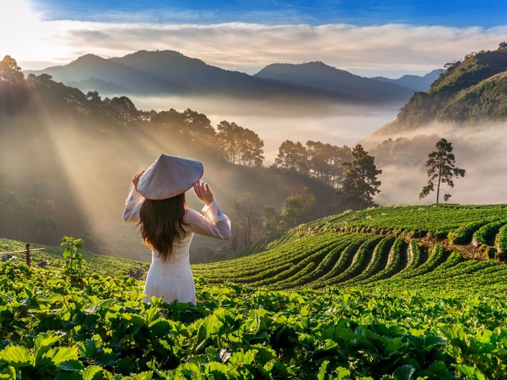 Central Vietnam in 10 Days: Da Nang, Hoi An, and Hue Heritage Trail